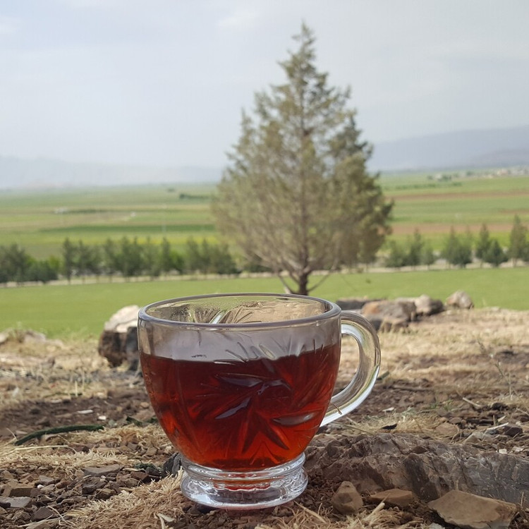 چای چکش سبز باروتی،یک کیلویی