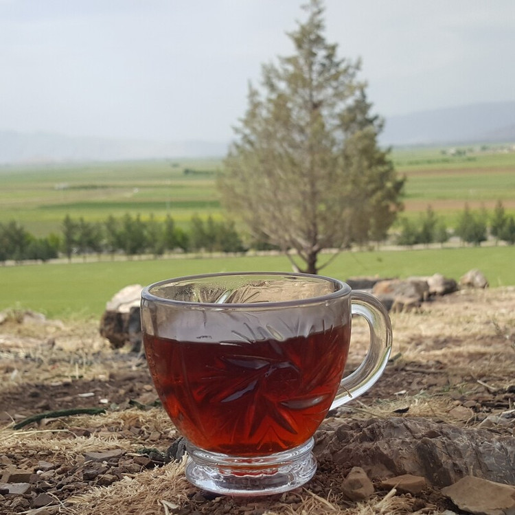 چای سعدالدین اصلی کد 5780،باروتی،یک کیلویی